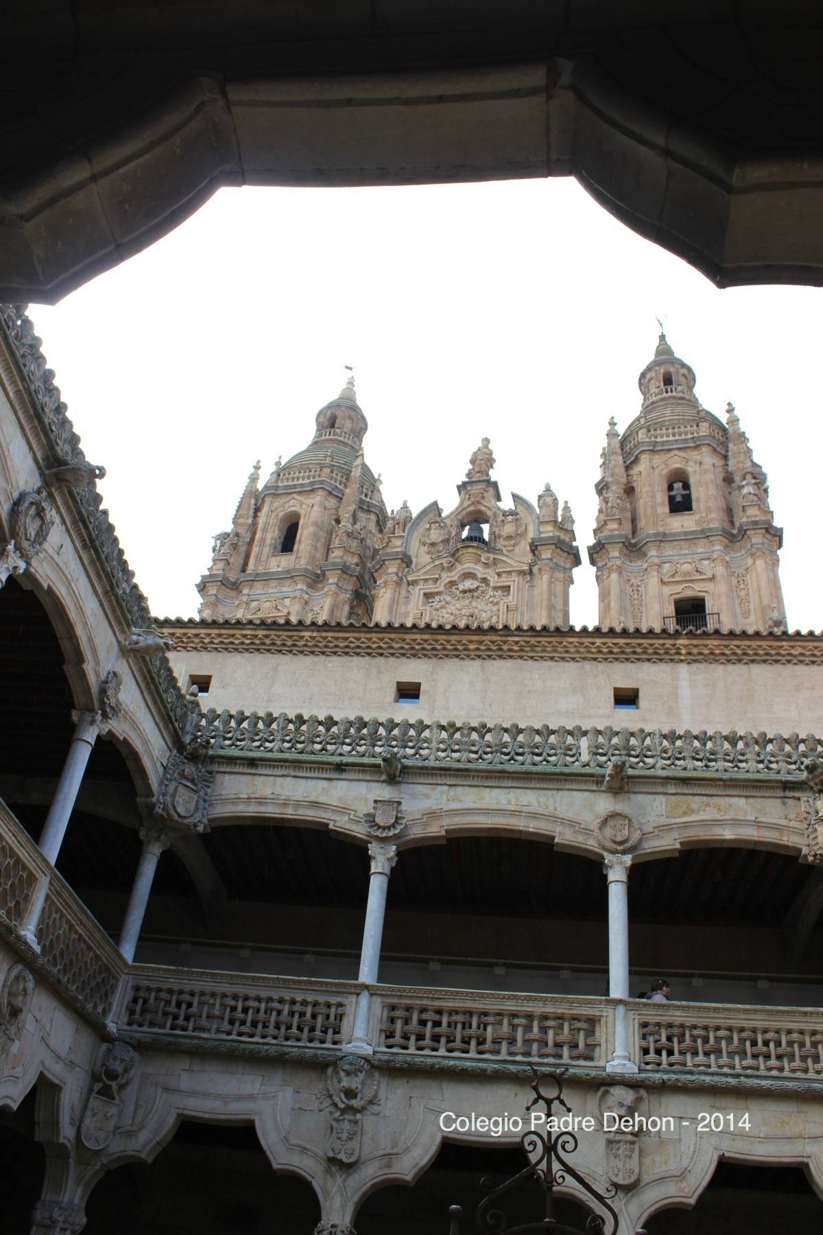 2014 03 22 SALAMANCA CASA DE LAS CONCHAS (229)